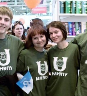 Концептуальная структура МНЭПУ (в развитии)